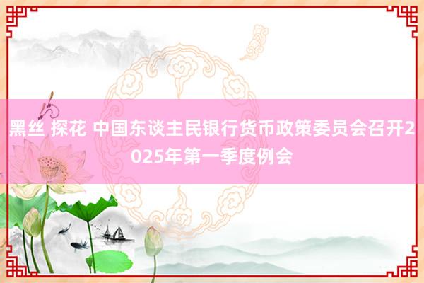 黑丝 探花 中国东谈主民银行货币政策委员会召开2025年第一季度例会