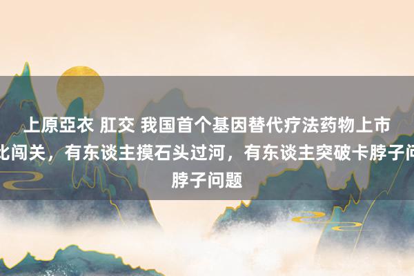 上原亞衣 肛交 我国首个基因替代疗法药物上市堪比闯关，有东谈主摸石头过河，有东谈主突破卡脖子问题