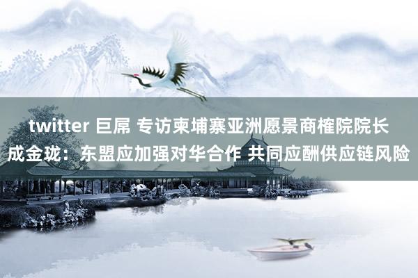 twitter 巨屌 专访柬埔寨亚洲愿景商榷院院长成金珑：东盟应加强对华合作 共同应酬供应链风险