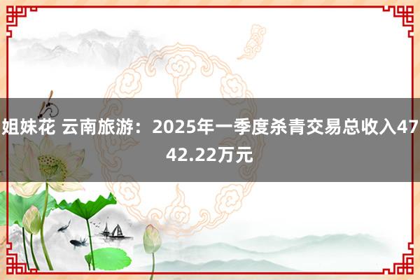 姐妹花 云南旅游：2025年一季度杀青交易总收入4742.22万元