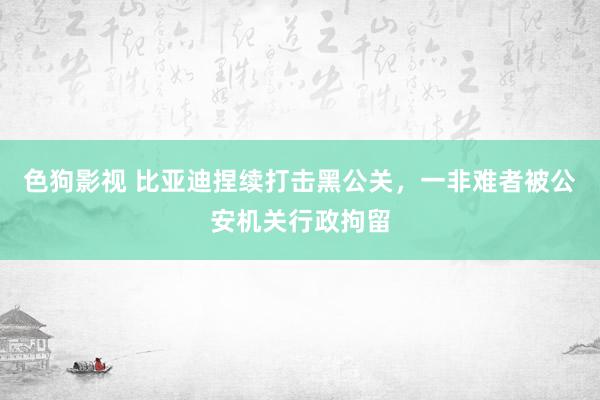 色狗影视 比亚迪捏续打击黑公关，一非难者被公安机关行政拘留