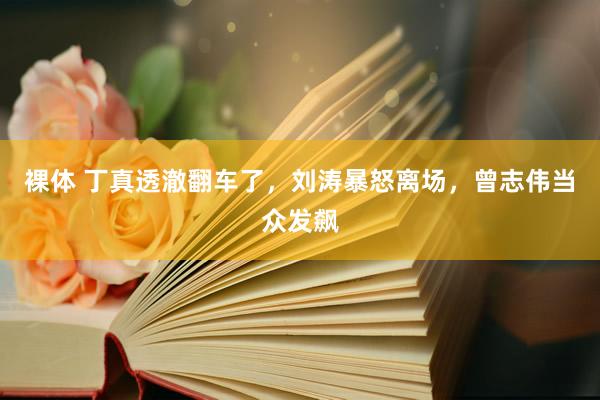裸体 丁真透澈翻车了，刘涛暴怒离场，曾志伟当众发飙