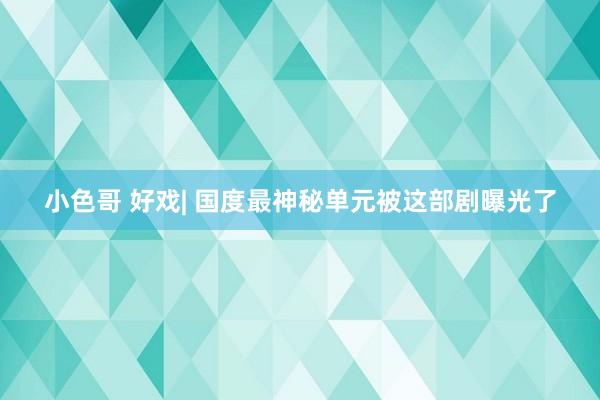 小色哥 好戏| 国度最神秘单元被这部剧曝光了
